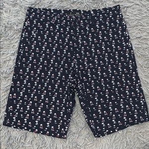 NWOT Public Records Board shorts Size 30”